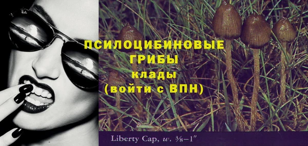гидропоника Инсар