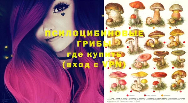 гидропоника Инсар