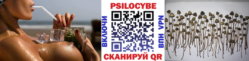 Псилоцибиновые грибы мицелий Пролетарск