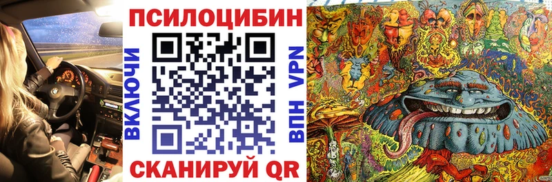 Купить где  Пролетарск  Псилоцибиновые грибы ЛСД 